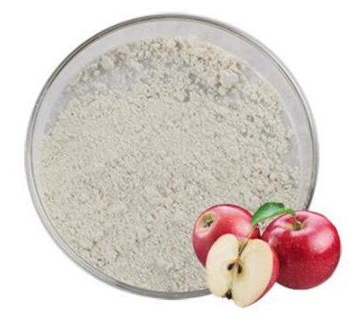 Phloretin Powder 1
