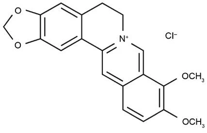 product-427-275