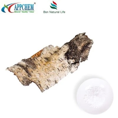 Powdwr Betulin Naturiol