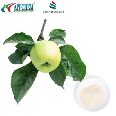 Powdwr Phloretin Naturiol
