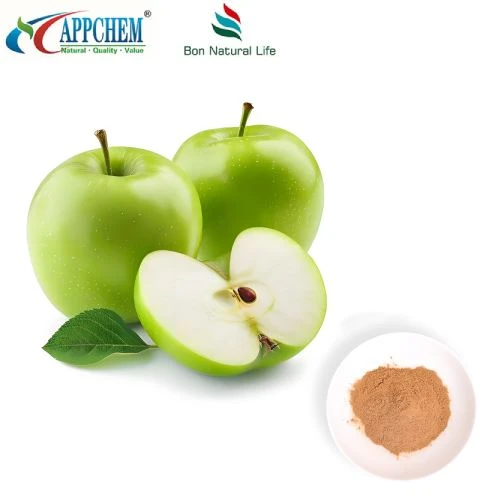 Cynhwysion Gwrthocsidiol Procyanidin B2 Powdwr