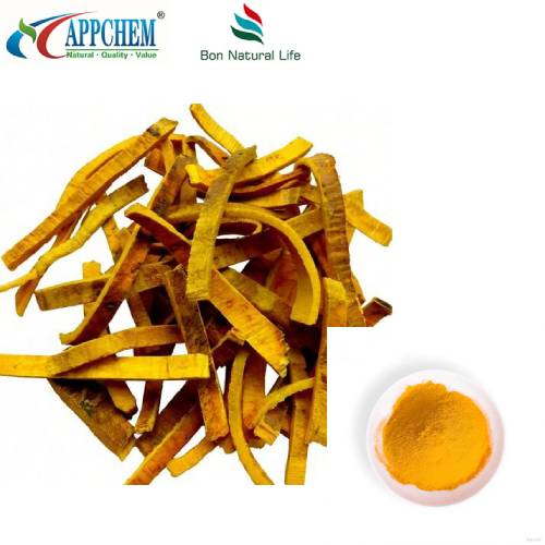 Powdwr Hydrochlorid Berberine