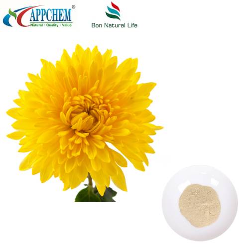 Detholiad Flos Chrysanthemi