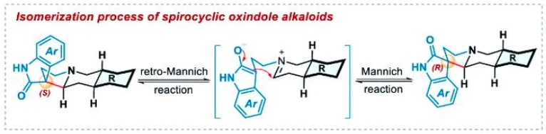 cat's claw extract active compounds
