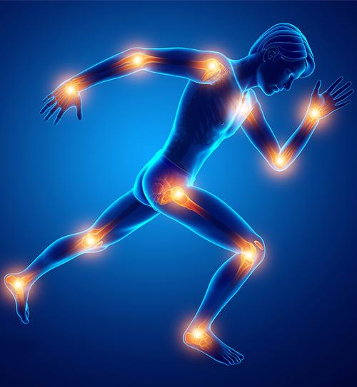 joint health joint health