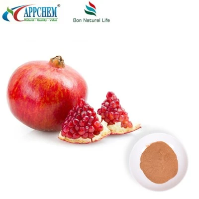 Pomegranad croen echdynnu powdr