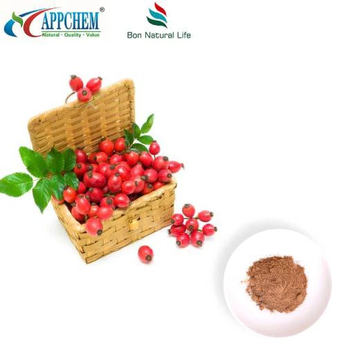 Detholiad Rosehip Powdwr