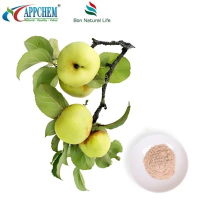 90% Phlorizin Powdwr Data Prawf HPLC