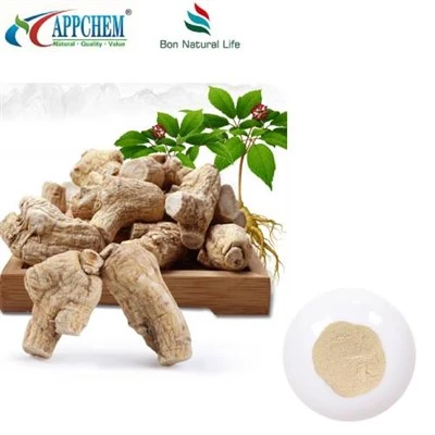Powdwr Detholiad Ginseng Americanaidd