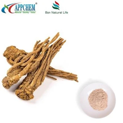 Detholiad Angelica Sinensis Powdwr