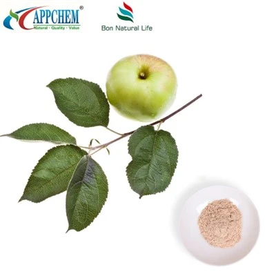 Detholiad Apple Phloretin Swmp Cyflenwi