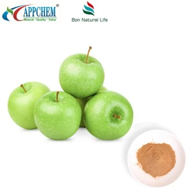 Detholiad Apple Procyanidin B2 Powdwr Mewn Stoc