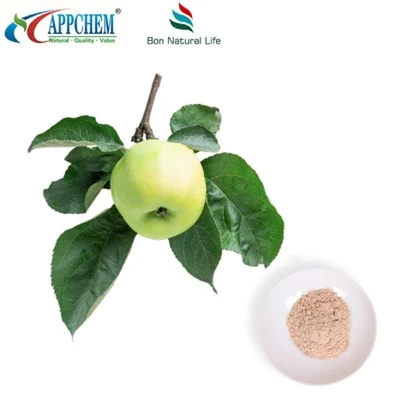 Cynhwysion Cosmetig Phloretin 60-82-2