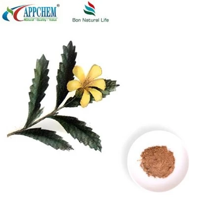 Detholiad Damiana Powdwr
