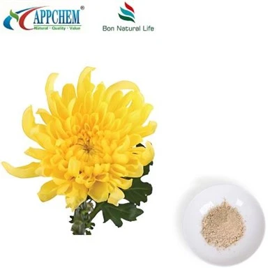 Powdwr Detholiad Flos Chrysanthemi