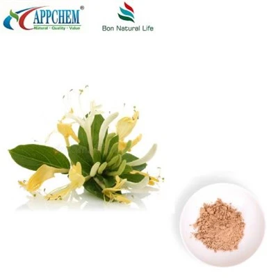 Powdwr Detholiad Flos Lonicerae