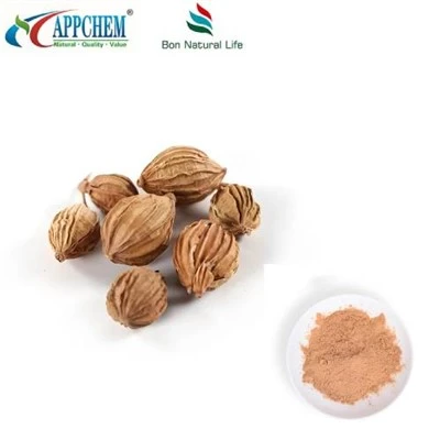 Powdwr Detholiad Fructus Amomi