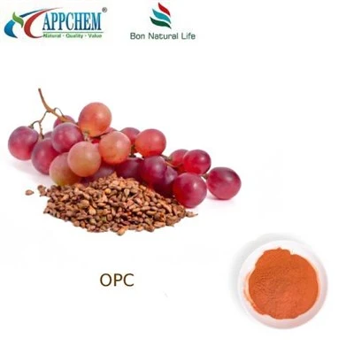 Detholiad Hadau Grawnwin 95 OPC