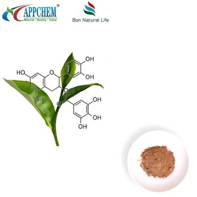 Polyphenol Detholiad Te Gwyrdd