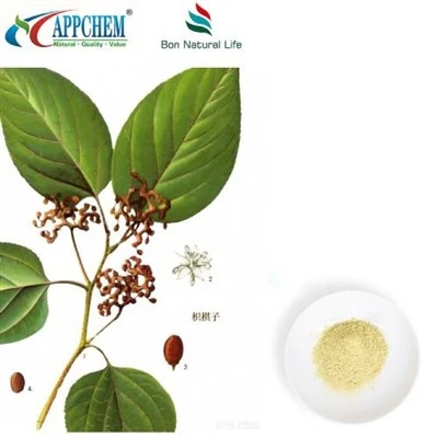Detholiad Hovenia Dulcis Powdwr