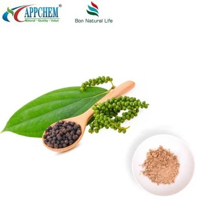 Powdwr Detholiad Ffrwythau Ligustrum