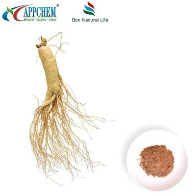 Detholiad Panax Ginseng Powdwr