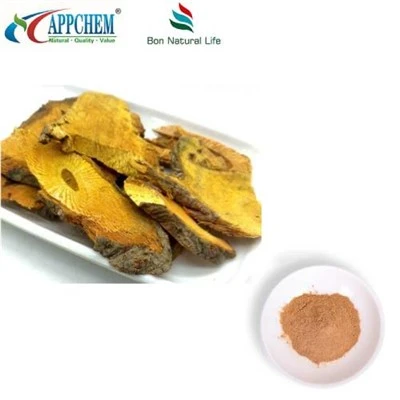 Resveratrol Polygonum Cuspidatum Detholiad Powdwr