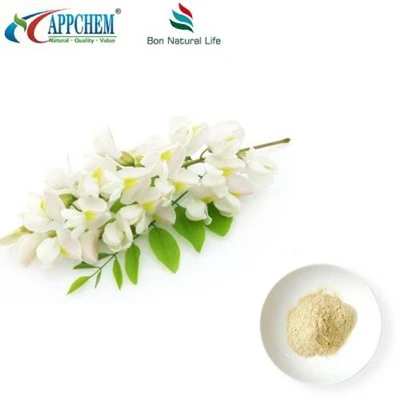 Powdwr Detholiad Sophora Japonica