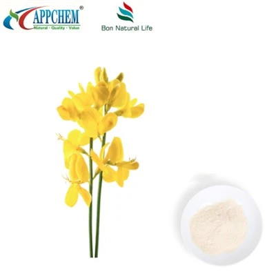Detholiad Thermopsis lanceolata R.Br; Cytisine hplc98% powdr 485-35-8